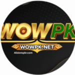 Wowpk Game online casino slot machine screen.