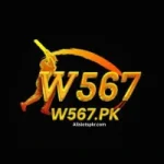 W567 Game mobile app featuring exciting slots, card challenges, and real cash rewards.