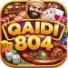 QAIDI 804 Game casino-themed icon with roulette, poker chips, dice, and gold coins for mobile gaming in Pakistan.