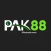 PAK88 Game earning app interface with colorful online games and reward features.